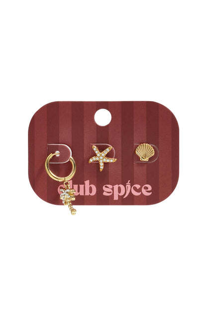 Ohrring-Sets aus Edelstahl, Seestern, schlichte Alltagsserie, Damenschmuck