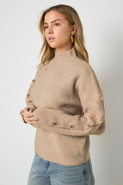 Strick-Polyesterfaser Damen Rollkragenpullover Casual Einfarbig