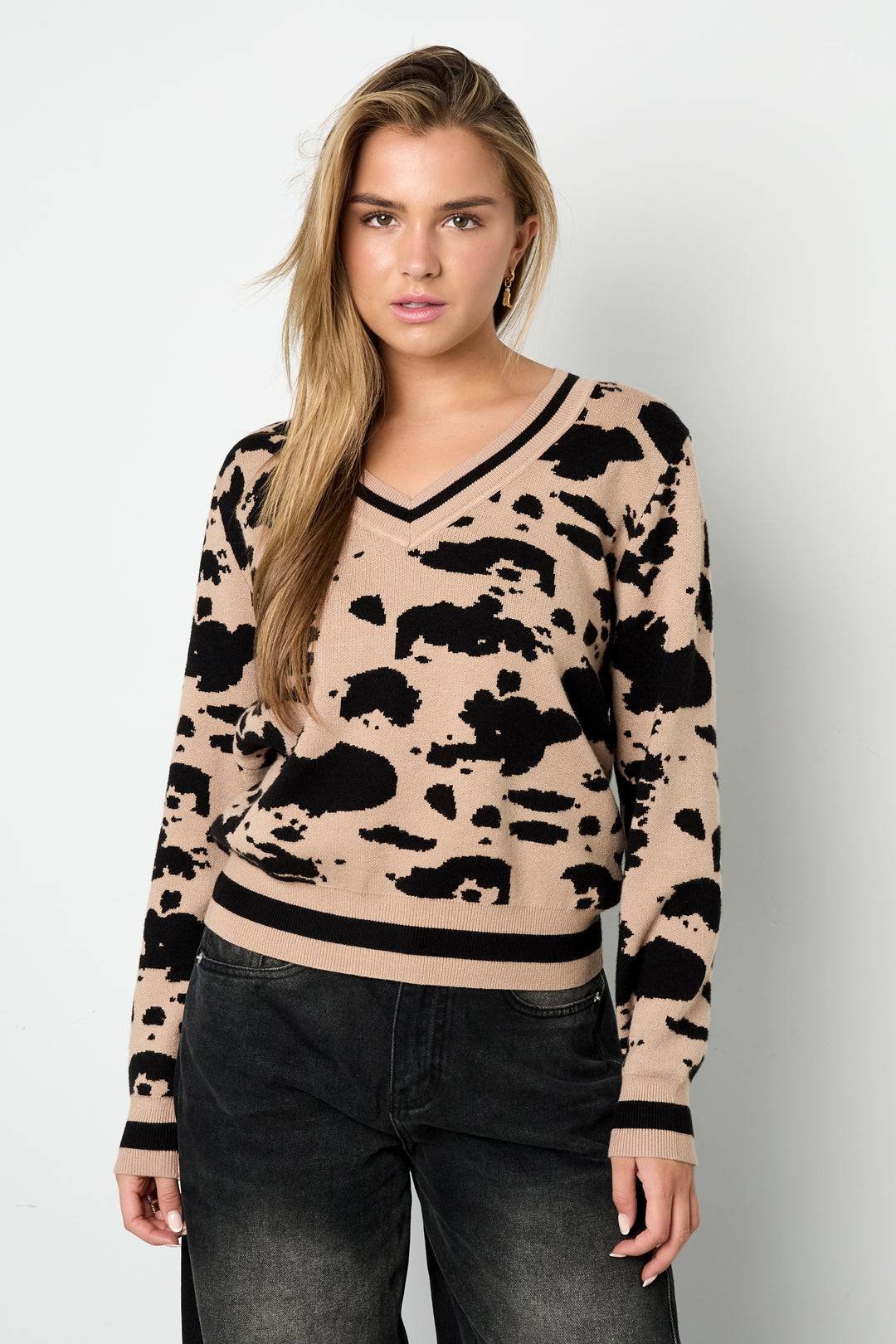 Strickware (einschließlich Häkel- und Wollstoffe) Leopardenmuster Damen V-Ausschnitt Pullover Herbst/Winter Casual
